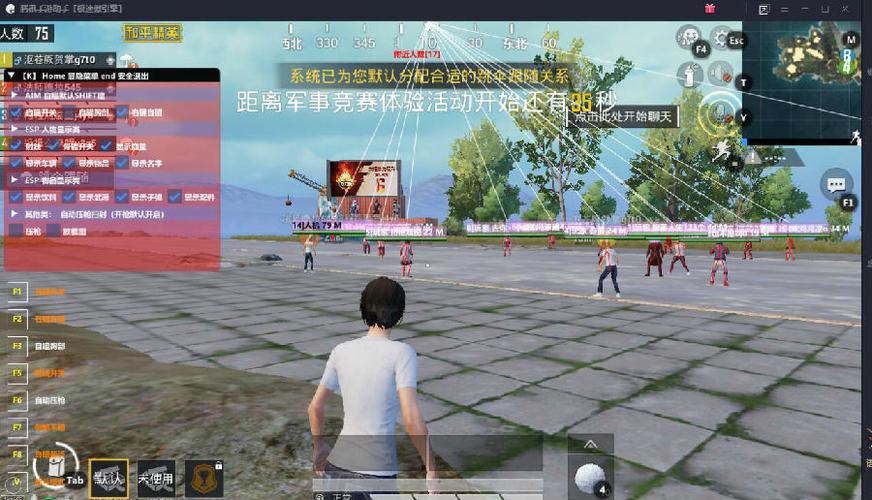 和平精英《迪达拉pro》辅助